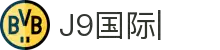 J9国际站|集团官网